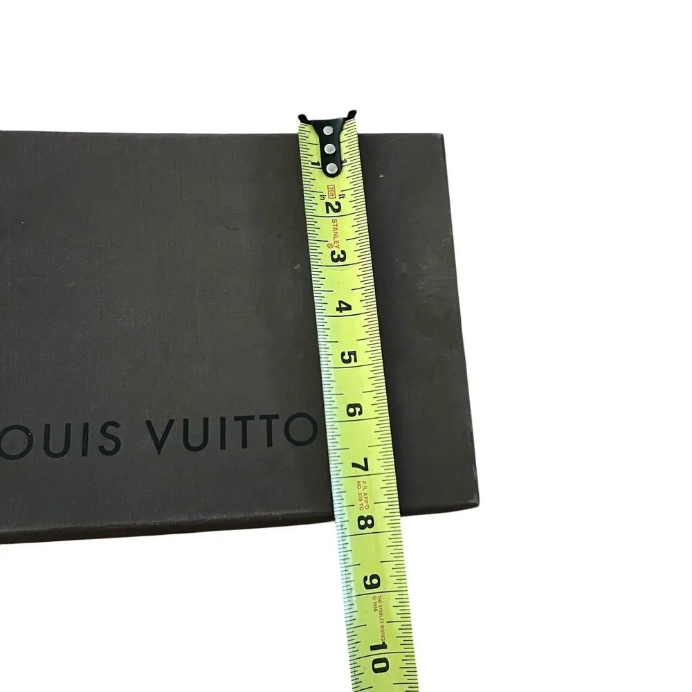 Louis Vuitton brand louis